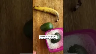 Созревание авокадо  Эксперимент