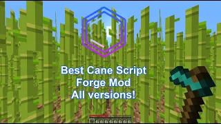 Mint Client: Scripting Cane | Forge Mod - 1.8.9 to 1.19.2