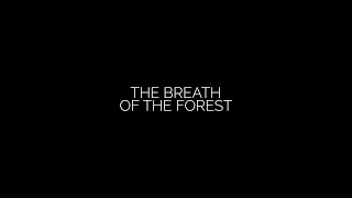 Fashion Film | The Breath of the Forest