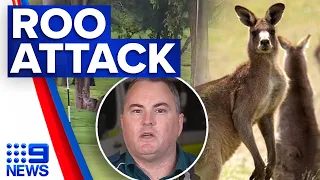 Golfer repeatedly 'stomped on' by kangaroo in vicious attack | 9 News Australia