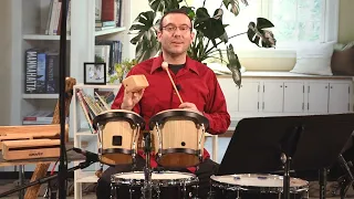 Symphony Storytime • “Tanka Tanka Skunk” featuring percussion