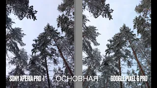 Елки, туи и зимний лес / Sony Xperia Pro-I vs Google Pixel Pro 6 / 3 часть