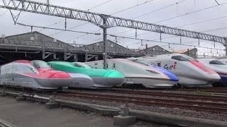 新潟鉄道大感謝祭2014 ～新幹線電車と貨物機関車が勢ぞろい～