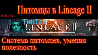 Система питомцев на Астериосе , умения полезность Подробный гайд