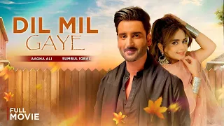 DIL MIL GAYE   Full Movie -  New Hindi Movie 2024 I LTN Filmazia Studios