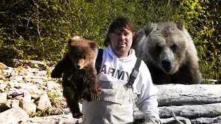 Mężczyzna uratował tonącego niedźwiadka, wtedy jeszcze nie wiedział co zrobi niedźwiedźica...