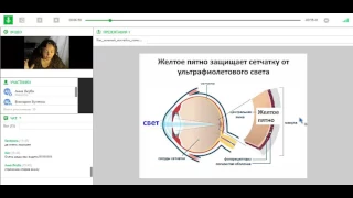 Виктория Бутенко.Как зеленый коктейль помогает при сухом голодании (для Школы  Анны  Якуба"Мечта")