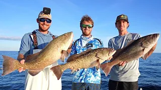 Fired Up! Shallow Water Gag Grouper Trolling and Bottom Fishing