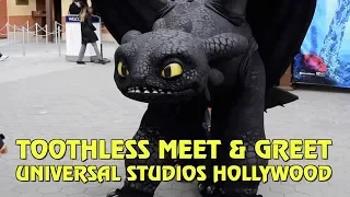 Toothless Meet & Greet at Universal Studios Hollywood