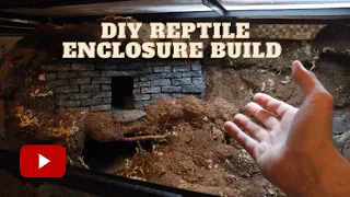 DIY Reptile Enclosure Build!