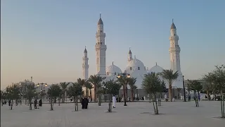 Hajj Pilgrims Arrive to Masjid Quba | Unique Updates to the Mosque