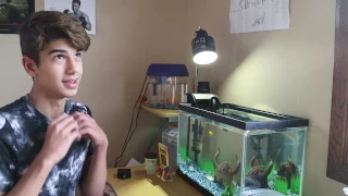 Putting my Betta Fish in a COMMUNITY TANK!!!