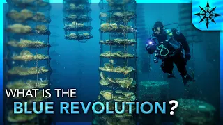 What is the Blue Revolution?