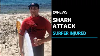 Geraldton surfer recovering after being bitten on the arm by a shark at a remote beach ABC News