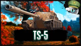 WoT | TS-5 • Egy tökéletes tankvadász a jelenlegi metában [6K DMG]