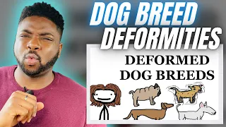 🇬🇧BRIT Reacts To DOG BREED DEFORMITIES!