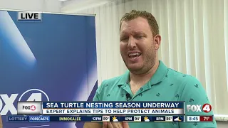 Tips to keep in mind as sea turtle nesting season continues in SWFL