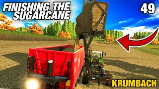 FINISHING THE SUGARCANE WITH SWEET RESULTS | Krumbach | Farming Simulator 22 - Episode 49