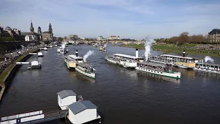 Flottenparade der Sächsischen Dampfschifffahrt 2023