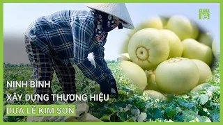 Ninh Bình: Xây dựng thương hiệu dưa lê Kim Sơn | VTC16