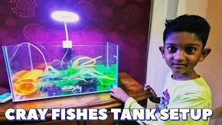 Cray Fishes Tank Setup  தமிழ்  @SimbaaVlogs