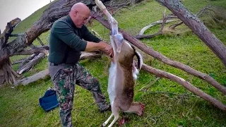 Hunting two deer with a 223 Rem rifle for meat in New Zealand # 19