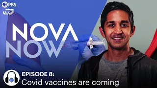 Covid vaccines are coming: What’s inside, and how and when you’ll get one I NOVA Now I PBS