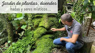 INCREÍBLE BOSQUE MAGICO en las montañas de Colombia | la magia de las plantas