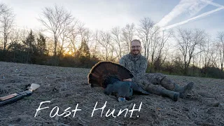 SOLO FILMED Turkey Hunt | Bird Down Early!