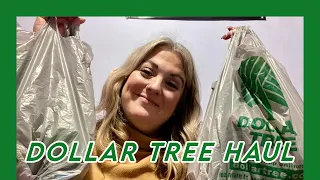 Dollar Tree Haul #dollartreehaul #dollartree #dollarstorefinds #dollartreeshopping #dollartree