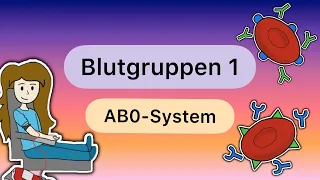 Blutgruppen TEIL 1: Das AB0-SYSTEM