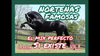 NORTEÑAS FAMOSAS DJ  CAPITAN