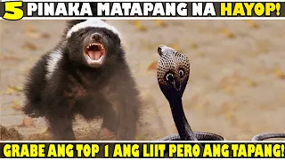 5 Pinaka Matapang na Hayop sa Mundo! | Grabe ang Top 1 Ang Liit pero Napakatapang | Fearless Animals