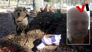 This Heartbroken Dog Visits His Best Friend's Grave Every Day