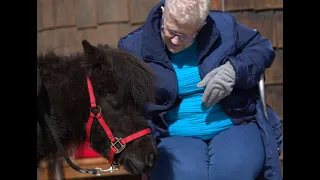 The soothing comfort of spending time with horses