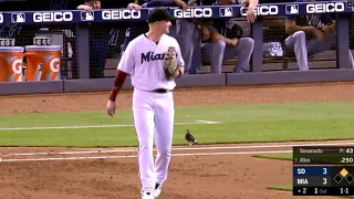 Pigeon enters on the field/Padres vs Marlins/July 16/MLB Season 2019