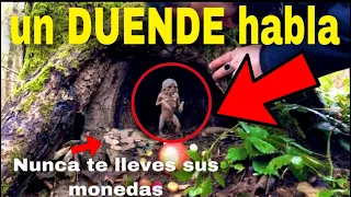 duendes hablan por primera vez en cámara parte 4 (nuevo video viral )