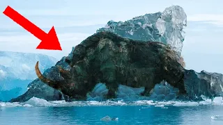 STRANGEST Things Found Frozen In Ice!