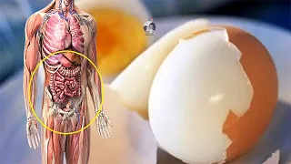 Nëse hani vezë cdo ditë trupit tuaj do ti ndodhin këto 5 mrekulli, as që keni për ti besuar