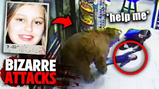 The Most BIZARRE Animal Attacks You've Ever Heard!