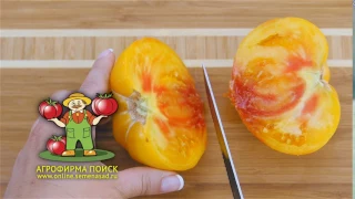 Самые вкусные томаты - серия семян ВКУСНОТЕКА