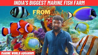 marine tank setup from 18,000 | biggest marine farm in india | marine world aquarium