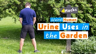 4 Weird Human Urine Uses in the Garden