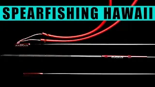 The Best Spear For Beginners!? (Spearfishing Hawaii)