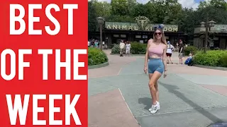 Funny Photo Fail and other funny videos! || Best fails of the week! || September 2022!