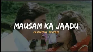 Mausam Ka Jaadu [slow & reverb] || Hum Aapke Hai Kon  || (1994) || Slow Symphony