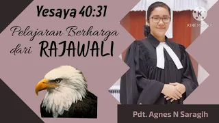 Pelajaran Berharga dari Rajawali "Yesaya 40:31" Pdt. Agnes N Saragih