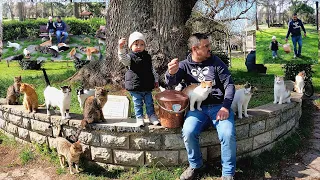 The amazing love between a baby and stray cats. Baby, Cat, Love