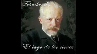 el lago de los cisnes tchaikovsky  #tchaikovsky #relaxingmusic #lagodeloscisnes #studymusic