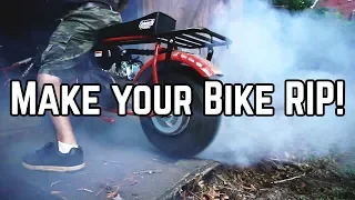 Essential Mini Bike Mods | CT200 Performance Parts